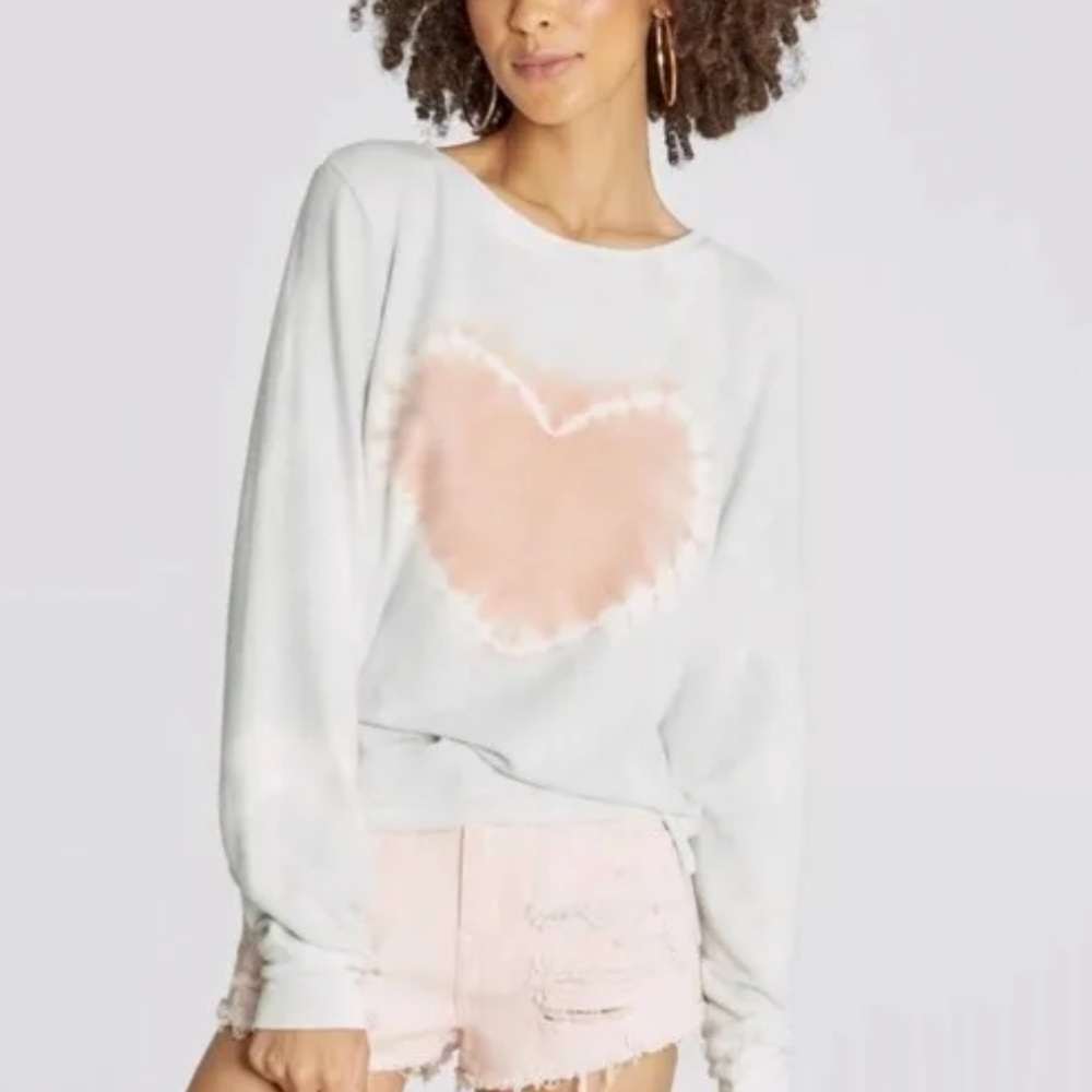 NWT Wildfox Baggy Beach Jumper Sweatshirt in Shore Ombre